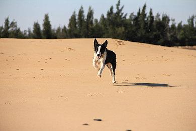 faker出镜 纪录片《电竞世界杯：升级》于下月播出